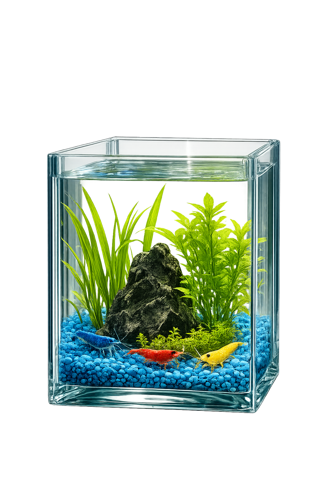 ShrimpCube Starter Kit