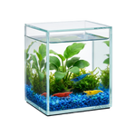 Shrimp Cube™