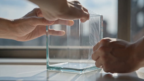 Shrimp Cube™