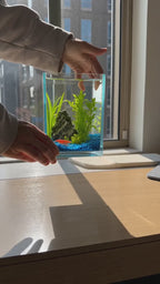 ShrimpCube™